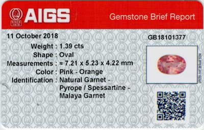 Gem Report