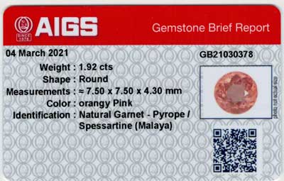 Gem Report
