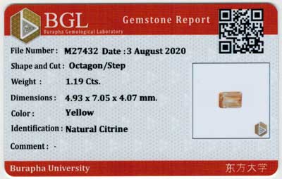 Gem Report