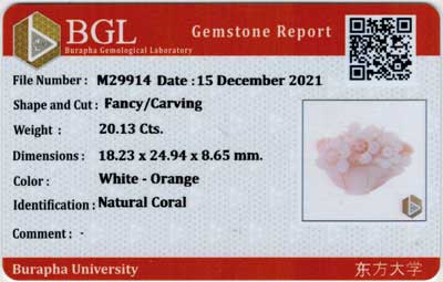 Gem Report