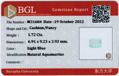 Gem Report