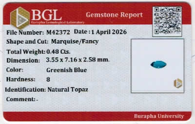 Gem Report