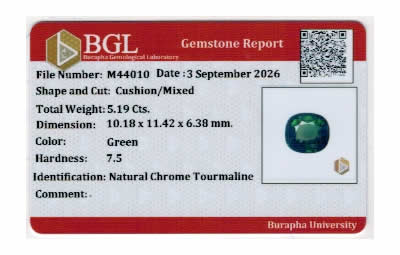Gem Report