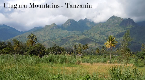 탄자니아 울루구루 산맥의 사진