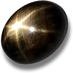 Golden Ray Black Star Sapphire Cabochon