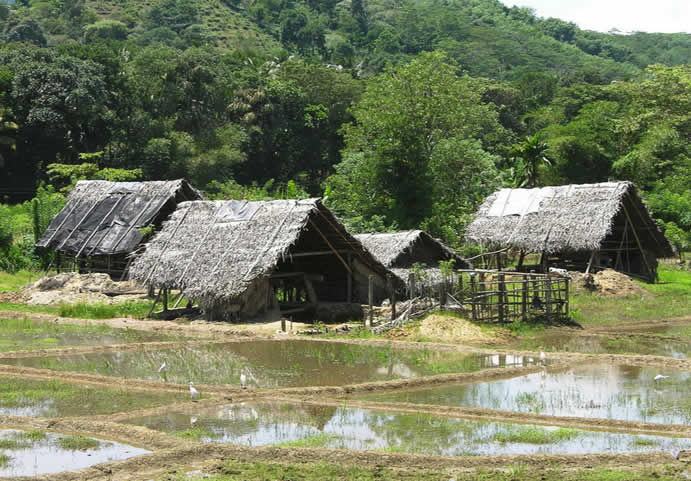 스리랑카의 사파이어 보석 광산 사진 - 대형 이미지