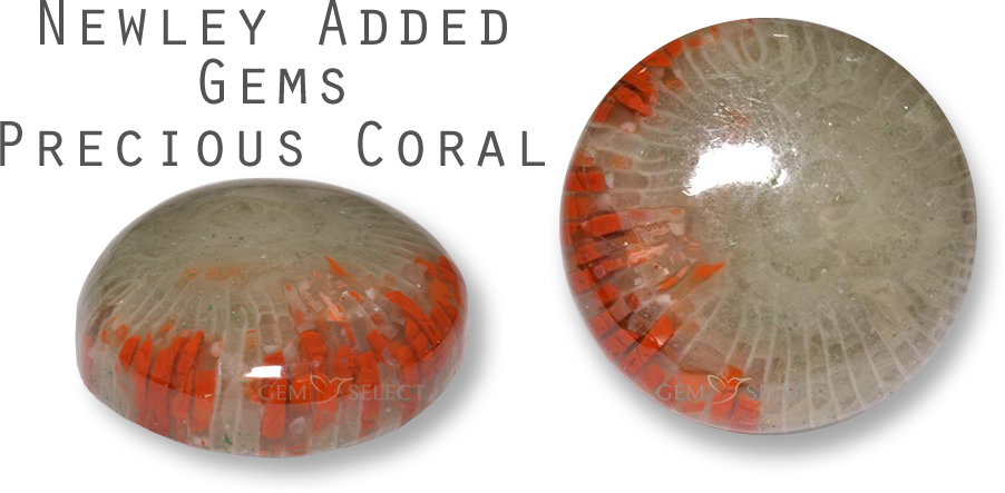 GemSelect의 귀중한 산호 원석