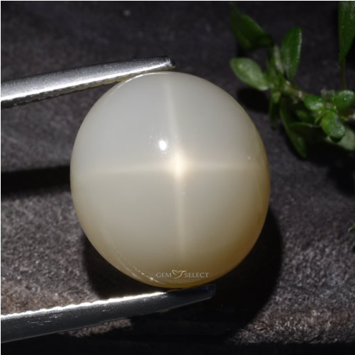 GemSelect의 스타 문스톤 보석 - 대형 이미지