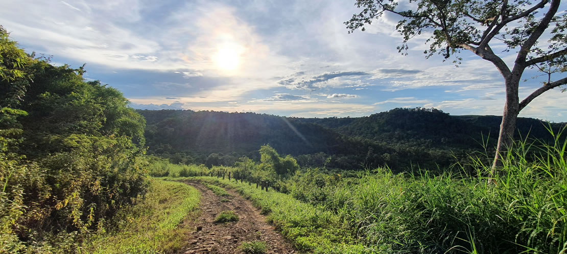 캄보디아의 라타나키리 보석산(Ratanakiri Gem Mountain)