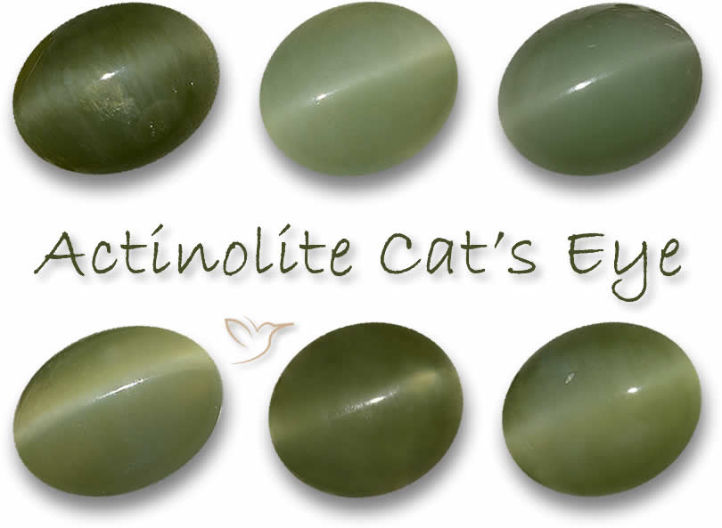 천연 Actinolite 고양이 눈
