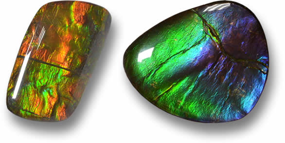 느슨한 Ammolite 판매