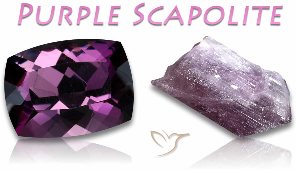 Purple Scapolite 구매