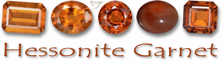 Hessonite Garnet 보석 쇼핑하기