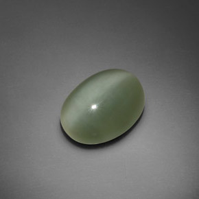 7.66캐럿 천연 그린 Actinolite Cat's Eye, 타원형 컷, 15.2×11.7 mm, 투명한