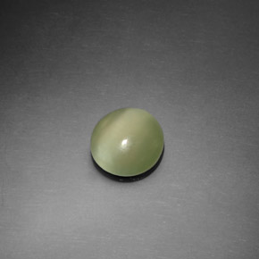 1.10캐럿 천연 그린 Actinolite Cat's Eye, 라운드 컷, 7.45 mm, 투명한