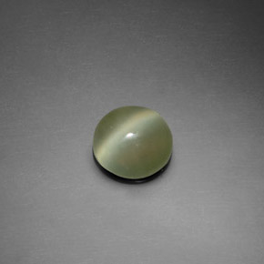 1.39캐럿 천연 그린 Actinolite Cat's Eye, 라운드 컷, 7.54 mm, 투명한