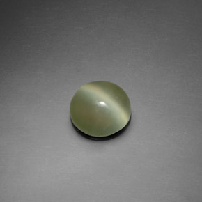 1.39캐럿 천연 그린 Actinolite Cat's Eye, 라운드 컷, 7.54 mm, 투명한