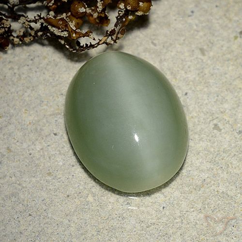 6.14ct 자연스러운 흙빛 녹색 액티노라이트 캣츠아이, 타원형, 투명한