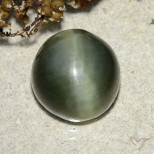 7.39ct 자연스러운 흙빛 녹색 액티노라이트 캣츠아이, 둥근, 투명한