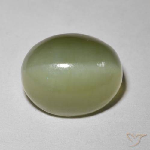 5.80ct 자연스러운 흙빛 녹색 액티노라이트 캣츠아이, 타원형, 투명한