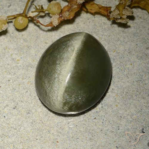 4.60ct 자연스러운 갈색을 띤 녹색 액티노라이트 캣츠아이, 타원형, 불투명체