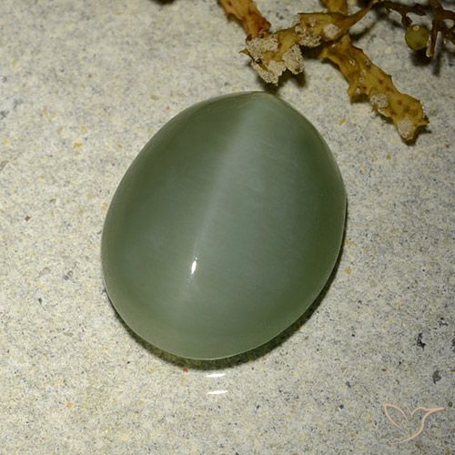 6.77ct 자연스러운 미디엄 라이트 그린 액티노라이트 캣츠아이, 타원형, 투명한
