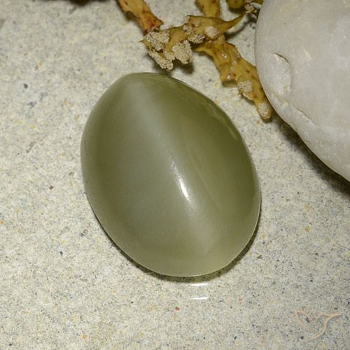 5.88ct 자연스러운 황록색 액티노라이트 캣츠아이, 타원형, 투명한