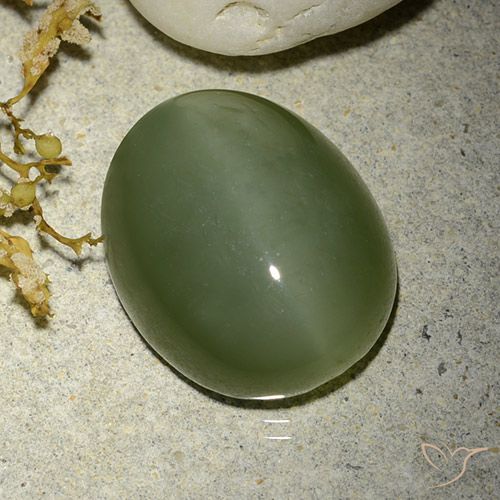 12.38ct 자연스러운 아미 그린 액티노라이트 캣츠아이, 타원형, 투명한