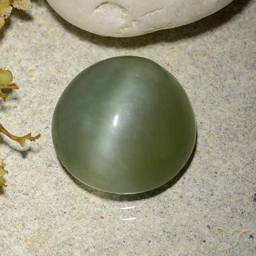 5.56ct 자연스러운 따뜻한 녹색 액티노라이트 캣츠아이, 둥근, 투명한