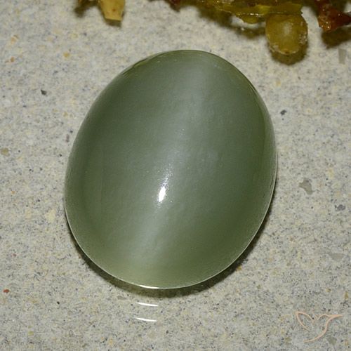 6.83ct 자연스러운 따뜻한 녹색 액티노라이트 캣츠아이, 타원형, 투명한
