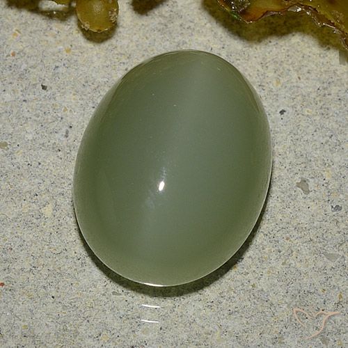 6.92ct 자연스러운 아미 그린 액티노라이트 캣츠아이, 타원형, 투명한