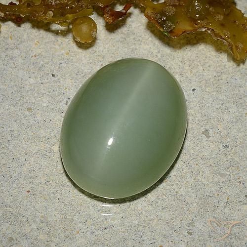 6.46ct 자연스러운 흙빛 녹색 액티노라이트 캣츠아이, 타원형, 투명한