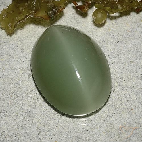 8.04캐럿 천연 미디엄 라이트 그린 Actinolite Cat's Eye, 타원형 컷, 16×12 mm, 투명한