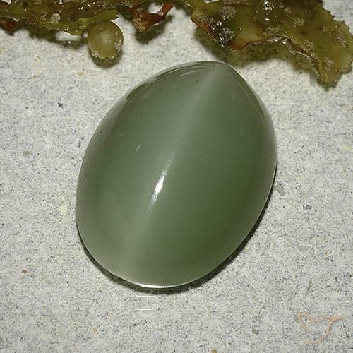 8.04캐럿 천연 미디엄 라이트 그린 Actinolite Cat's Eye, 타원형 컷, 16×12 mm, 투명한