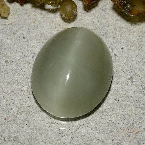 5.33ct 자연스러운 갈색을 띤 녹색 액티노라이트 캣츠아이, 타원형, 투명한