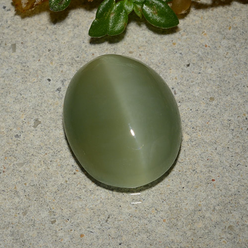 5.33캐럿 천연 아미 그린 Actinolite Cat's Eye, 타원형 컷, 13.3×10.7 mm, 투명한