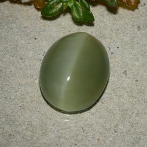 5.33캐럿 천연 아미 그린 Actinolite Cat's Eye, 타원형 컷, 13.3×10.7 mm, 투명한