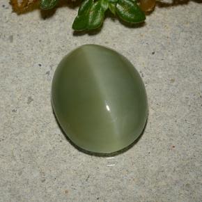 5.33캐럿 천연 아미 그린 Actinolite Cat's Eye, 타원형 컷, 13.3×10.7 mm, 투명한