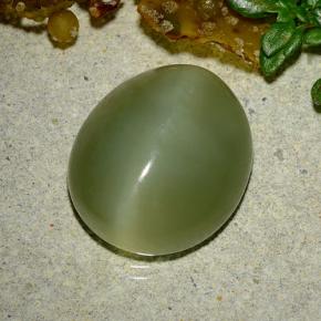 9.08캐럿 천연 그린 Actinolite Cat's Eye, 타원형 컷, 14.7×12.7 mm, 투명한
