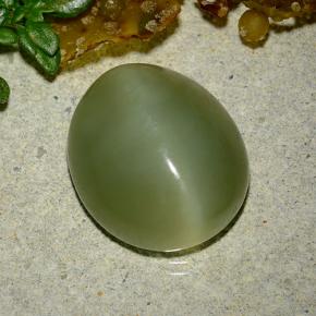 9.08캐럿 천연 그린 Actinolite Cat's Eye, 타원형 컷, 14.7×12.7 mm, 투명한