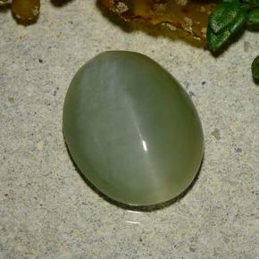 4.86캐럿 천연 미디엄 그린 Actinolite Cat's Eye, 타원형 컷, 13.2×10.6 mm, 투명한