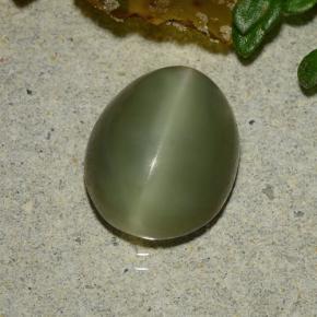 3.59캐럿 천연 그린 Actinolite Cat's Eye, 타원형 컷, 10.8×8.7 mm, 투명한