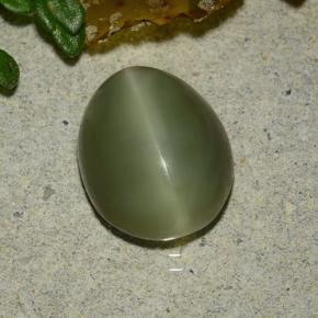 3.59캐럿 천연 그린 Actinolite Cat's Eye, 타원형 컷, 10.8×8.7 mm, 투명한