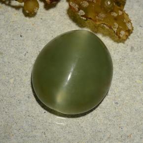 5.70캐럿 천연 아미 그린 Actinolite Cat's Eye, 타원형 컷, 13.1×11.5 mm, 투명한