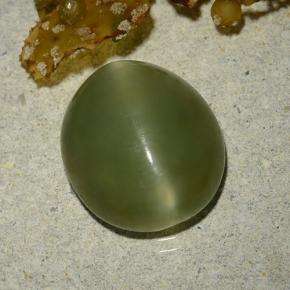 5.70캐럿 천연 아미 그린 Actinolite Cat's Eye, 타원형 컷, 13.1×11.5 mm, 투명한