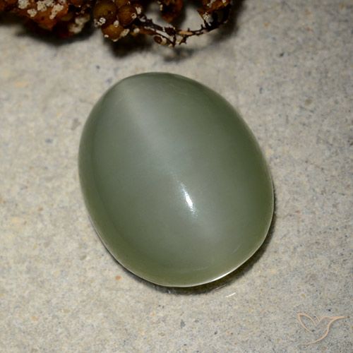 10.66ct 자연스러운 미디엄 그린 액티노라이트 캣츠아이, 타원형, 투명한