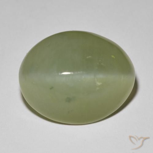 11.42ct 자연스러운 회녹색 액티노라이트 캣츠아이, 타원형, 투명한