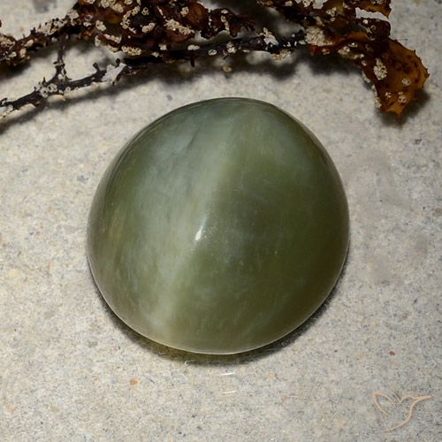 8.89ct 자연스러운 짙은 녹색 액티노라이트 캣츠아이, 타원형, 투명한