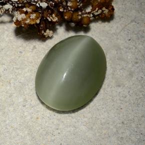 4.81캐럿 천연 아미 그린 Actinolite Cat's Eye, 타원형 컷, 13.2×10.2 mm, 투명한
