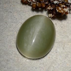9.06캐럿 천연 그린 Actinolite Cat's Eye, 타원형 컷, 15.2×12.2 mm, 투명한